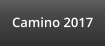Camino 2017